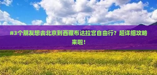 北京去西藏布达拉宫自由行