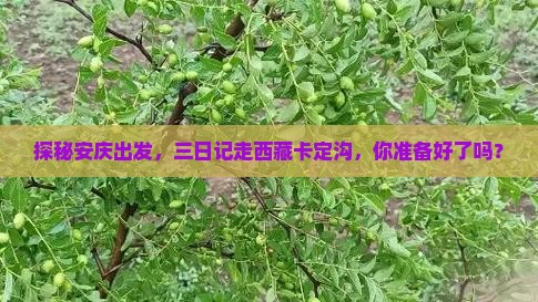 安庆去西藏卡定沟三日游