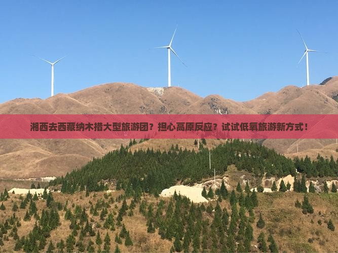 湘西去西藏纳木措大型旅游团
