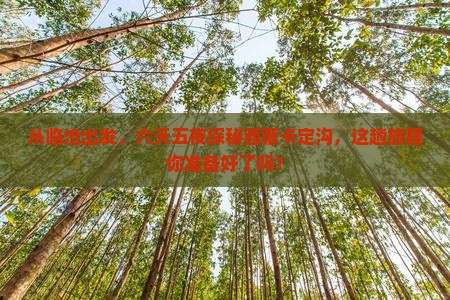 临沧到西藏卡定沟六日游