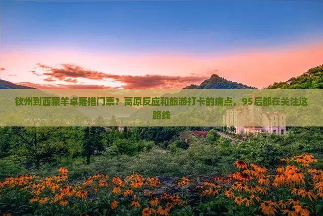 钦州到西藏羊卓雍措门票