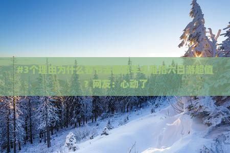 春节到西藏羊卓雍措六日游