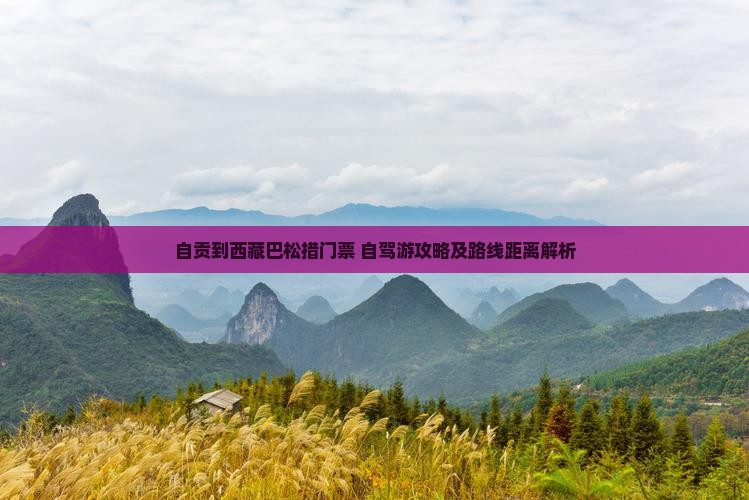 自贡到西藏巴松措门票