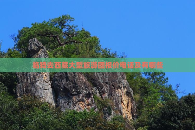临猗去西藏大型旅游团