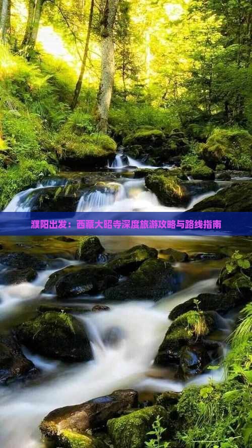 濮阳去西藏大昭寺一日