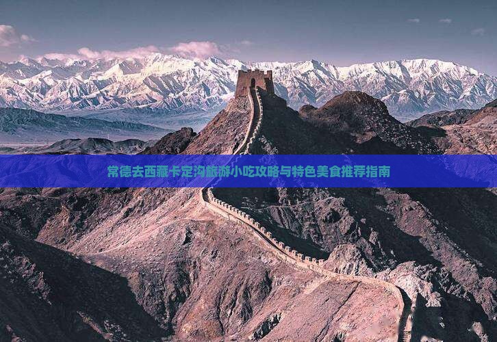 常德去西藏卡定沟旅游小吃