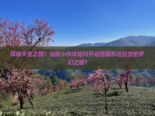 汕尾去西藏布达拉宫旅行社