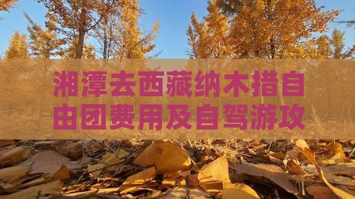 湘潭去西藏纳木措自由团
