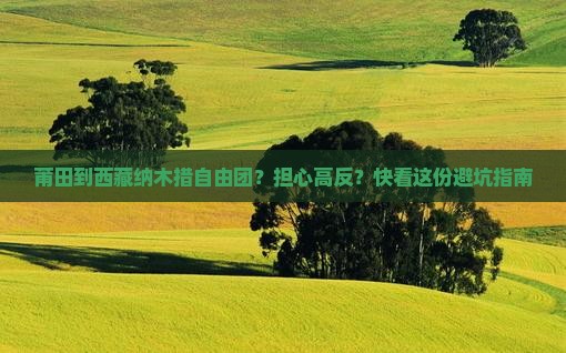 莆田去西藏纳木措自由团