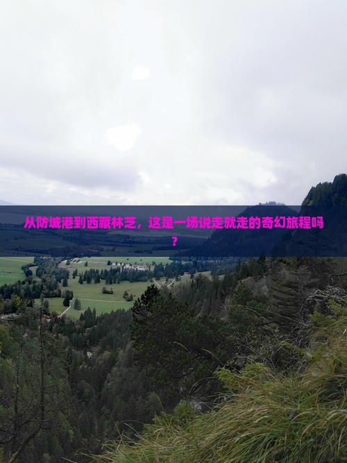 防城港到西藏林芝一日