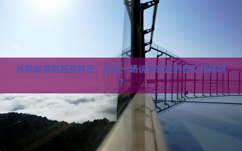 防城港到西藏林芝一日