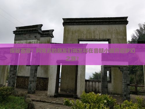 阿克苏去西藏鲁朗小镇大型旅游团