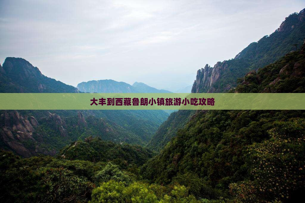 大丰到西藏鲁朗小镇旅游小吃