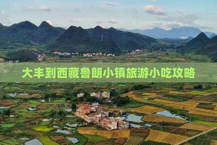 大丰到西藏鲁朗小镇旅游小吃