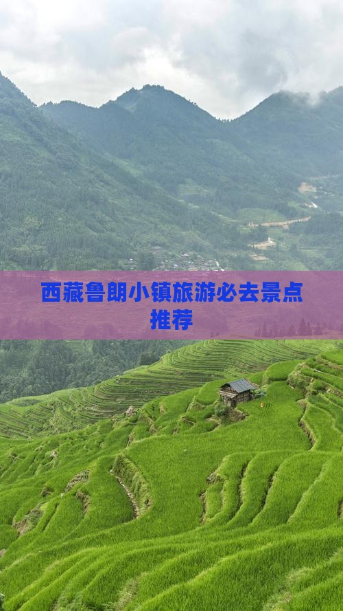 天门到西藏鲁朗小镇必去地