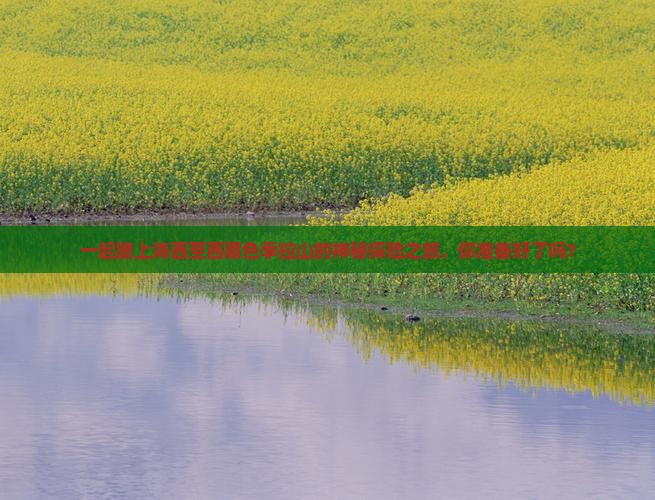 海西到西藏色季拉山团体旅游