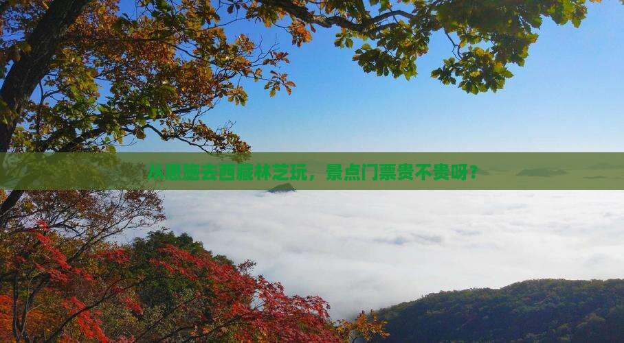 恩施到西藏林芝门票