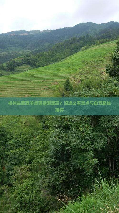 梅州去西藏羊卓雍措哪里玩