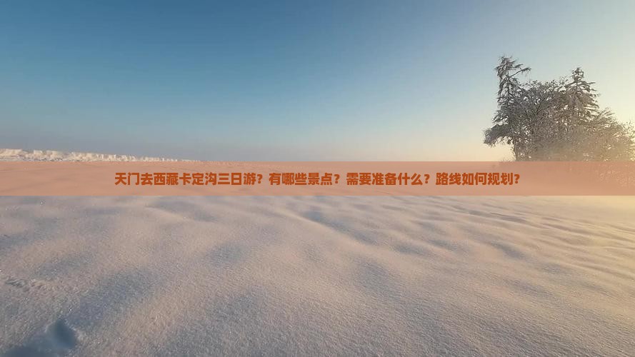 天门去西藏卡定沟三日游