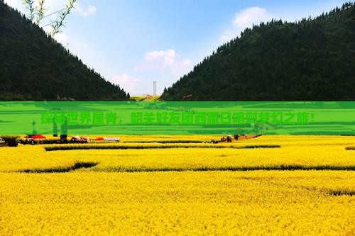 韶关到西藏日喀则团体旅游