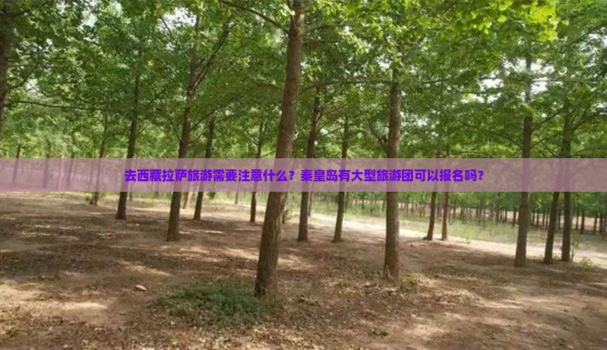 秦皇岛去西藏拉萨大型旅游团