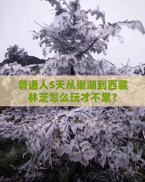 巢湖去西藏林芝五日游