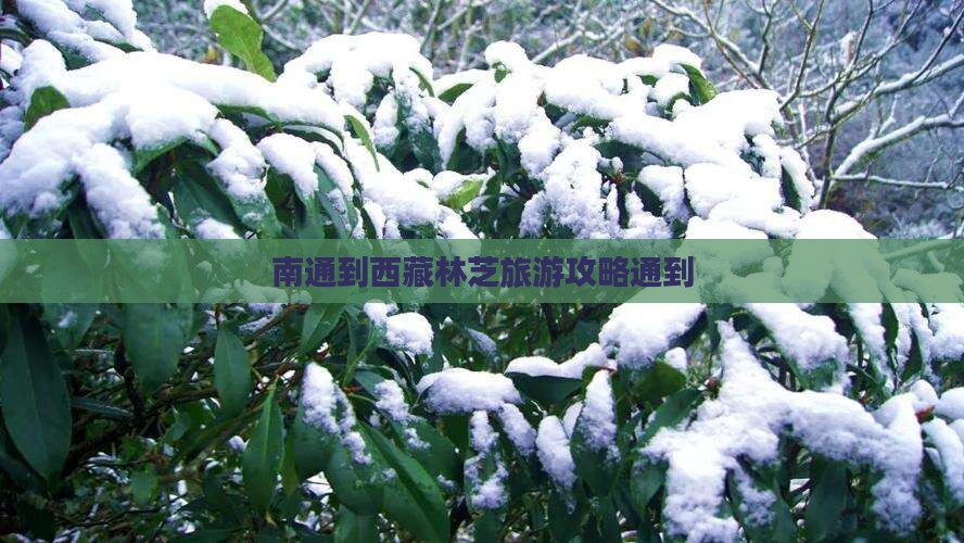 南通到西藏林芝门票