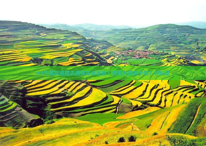 周口去西藏羊卓雍措团体旅游