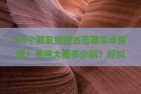 周口去西藏羊卓雍措团体旅游