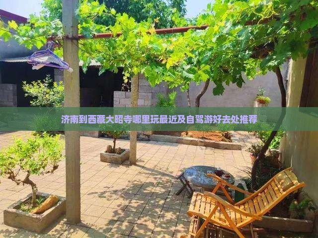 济南到西藏大昭寺哪里玩