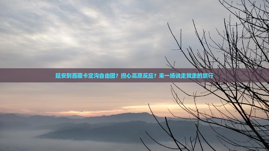 延安到西藏卡定沟自由团