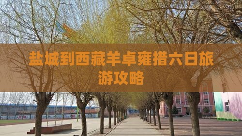 盐城去西藏羊卓雍措六日游