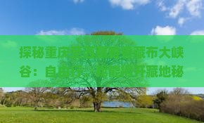 重庆到西藏雅鲁藏布大峡谷自由团