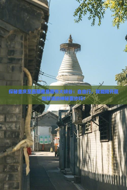 重庆到西藏雅鲁藏布大峡谷自由团