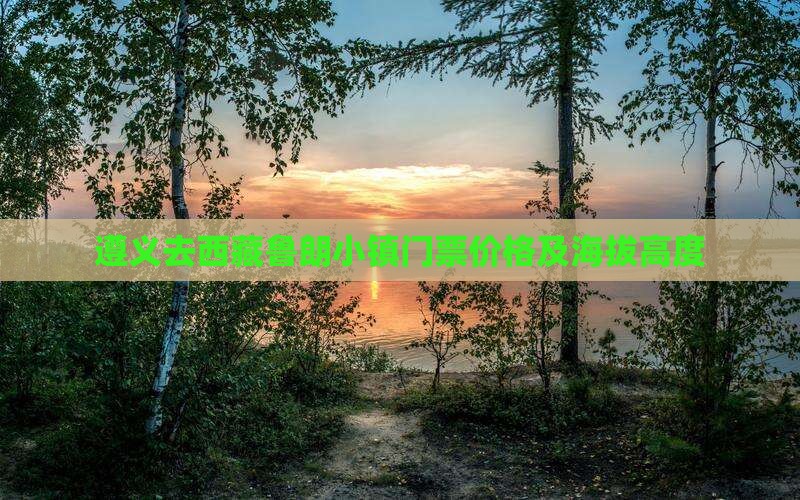 遵义去西藏鲁朗小镇门票