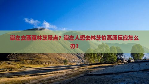 崇左去西藏林芝景点