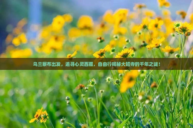 乌兰察布去西藏大昭寺自由团