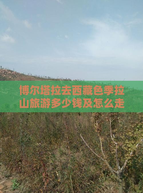博尔塔拉去西藏色季拉山旅游