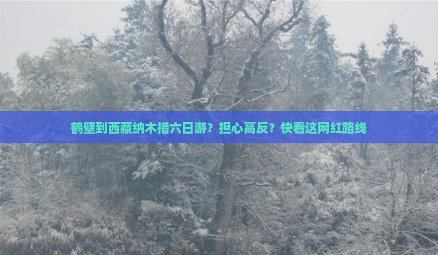 鹤壁到西藏纳木措六日游