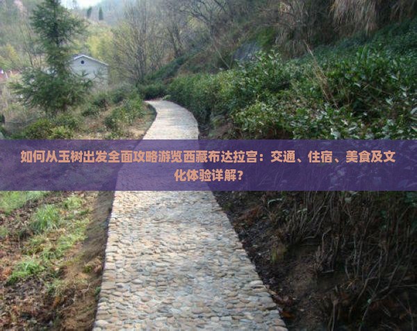 玉树去西藏布达拉宫攻略