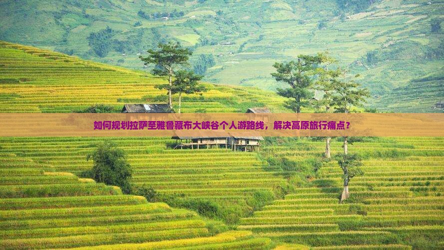 拉萨到西藏雅鲁藏布大峡谷个人游