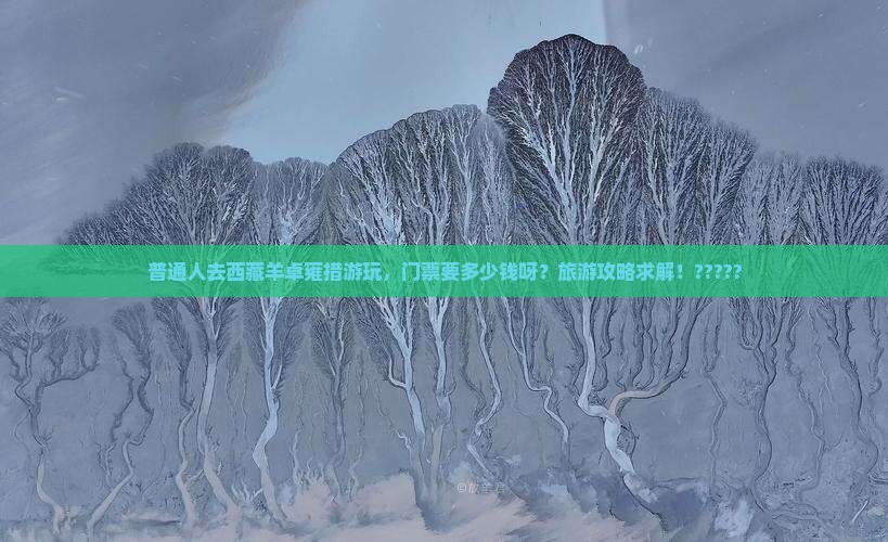中卫去西藏羊卓雍措门票