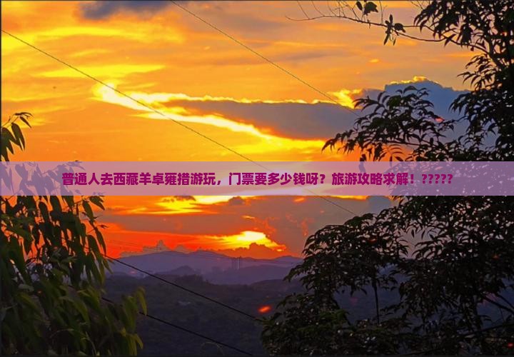 中卫去西藏羊卓雍措门票