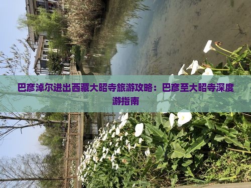 巴彦淖尔去西藏大昭寺景点