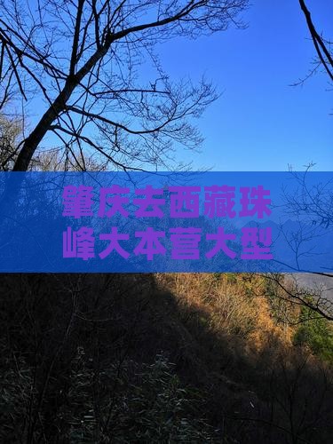 肇庆去西藏珠峰大本营大型旅游团