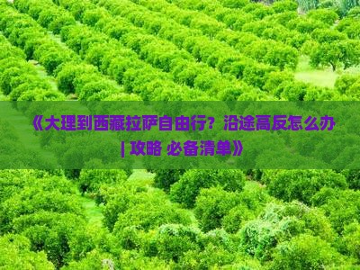大理到西藏拉萨自由行