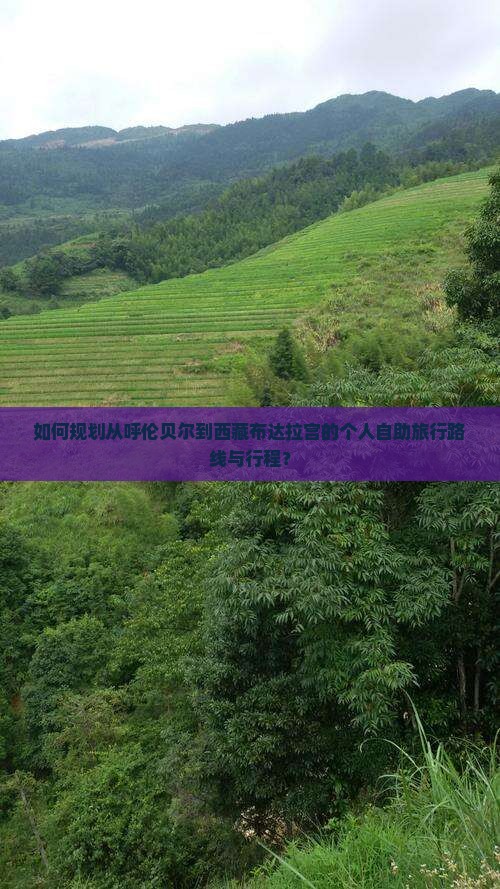呼伦贝尔去西藏布达拉宫个人游