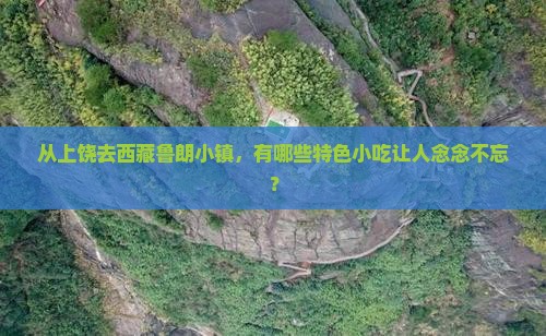 上饶到西藏鲁朗小镇旅游小吃