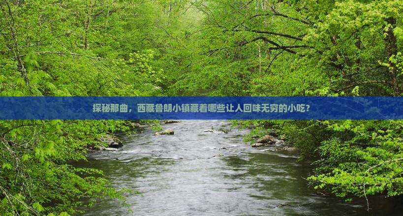 那曲去西藏鲁朗小镇旅游小吃
