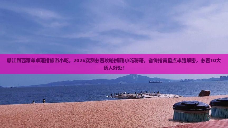 怒江到西藏羊卓雍措旅游小吃